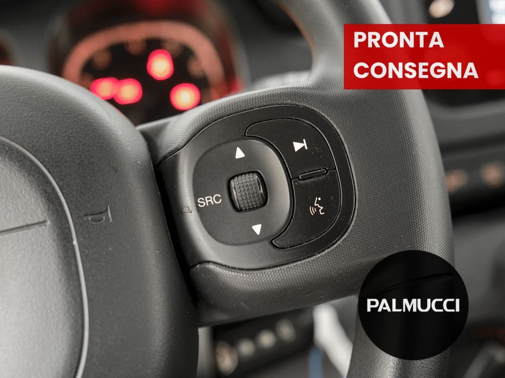Fiat Panda Cross usata a Prato (9)