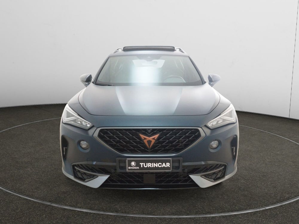 Cupra Formentor usata a Torino (2)