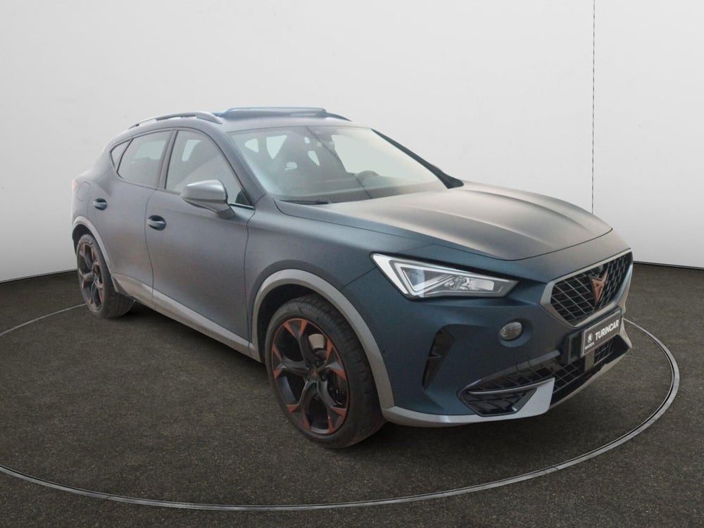 Cupra Formentor usata a Torino (7)
