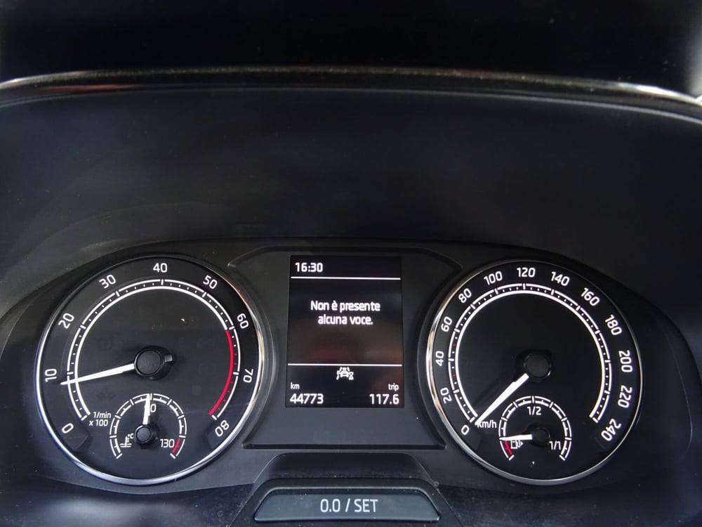 Skoda Fabia usata a Venezia (9)