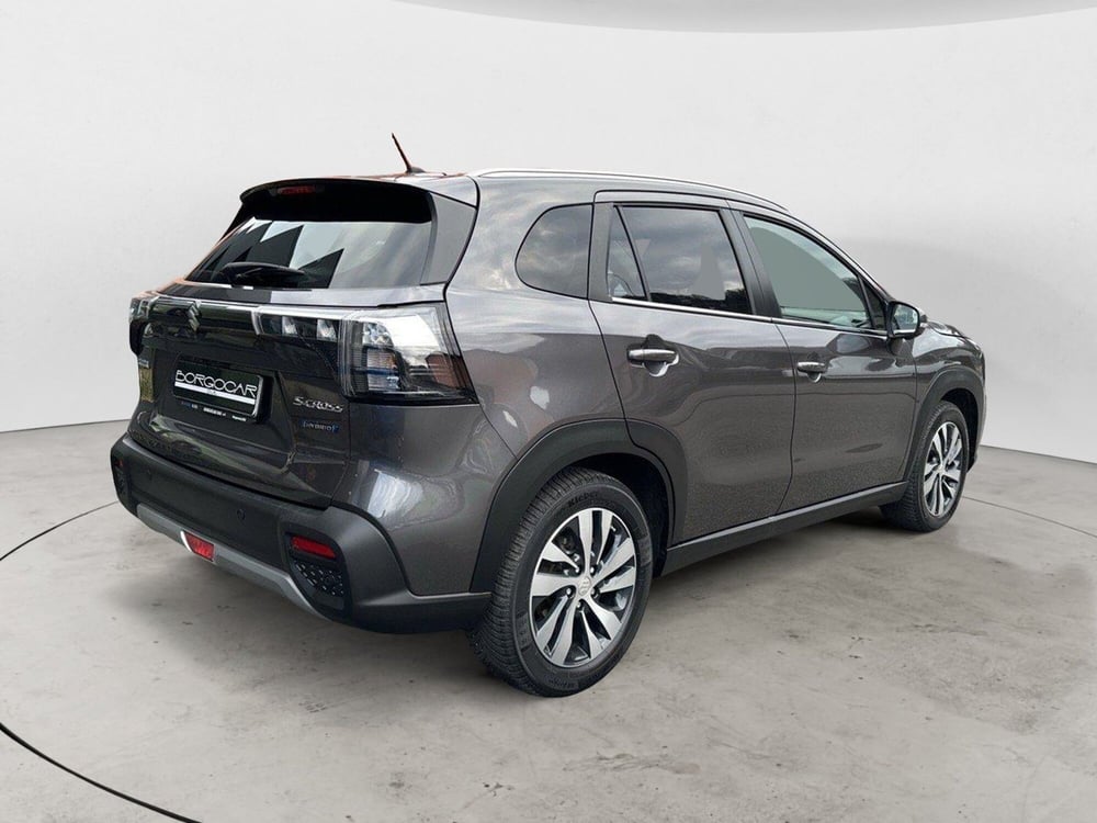 Suzuki S-Cross usata a Vercelli (6)
