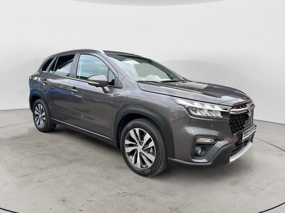 Suzuki S-Cross usata a Vercelli (8)