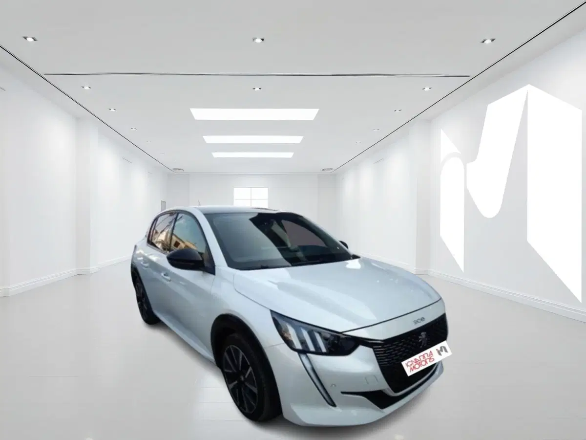 Peugeot 208 usata a Latina