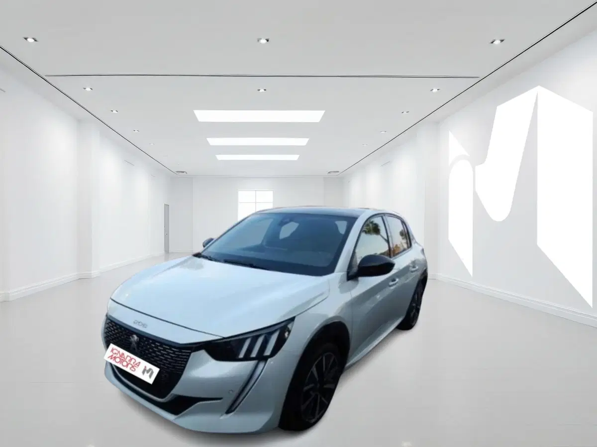 Peugeot 208 usata a Latina (3)