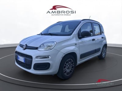 Fiat Panda 1.2 EasyPower Lounge del 2014 usata a Corciano