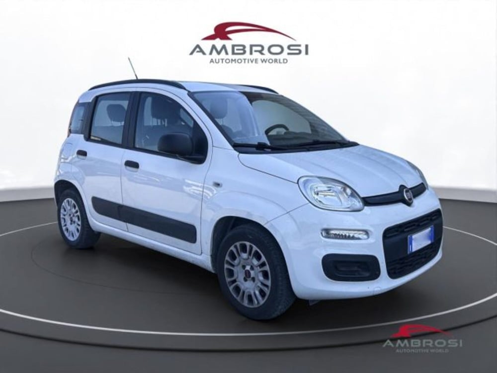 Fiat Panda usata a Perugia (2)