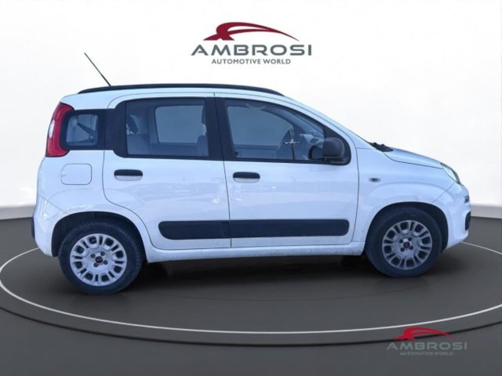 Fiat Panda usata a Perugia (5)