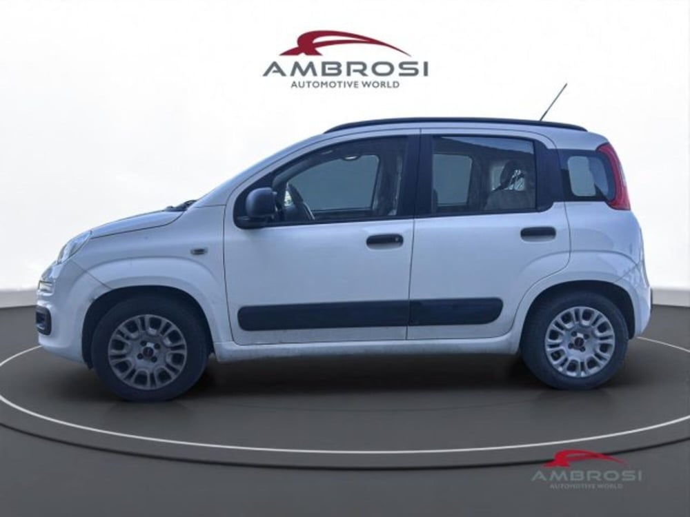 Fiat Panda usata a Perugia (6)