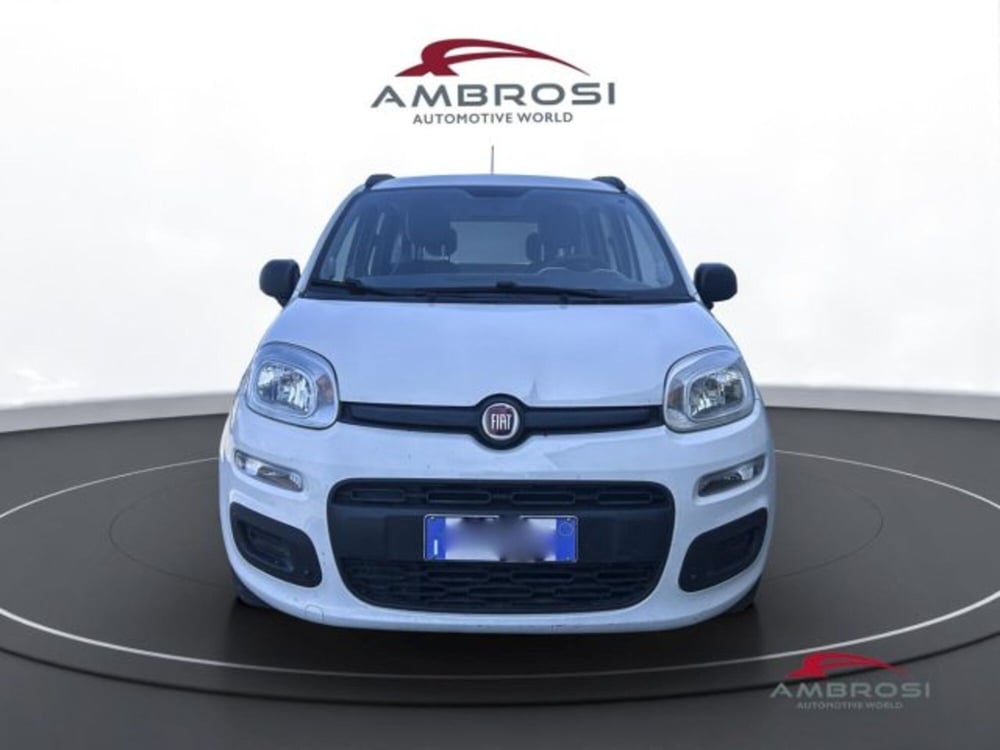 Fiat Panda usata a Perugia (7)