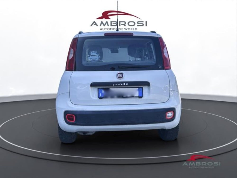 Fiat Panda usata a Perugia (8)