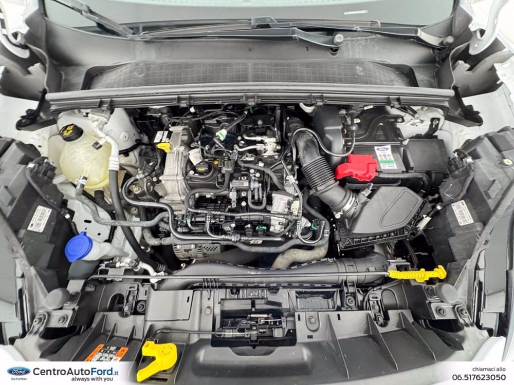 Ford Puma usata a Roma (12)