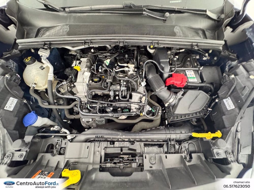 Ford Puma usata a Roma (12)