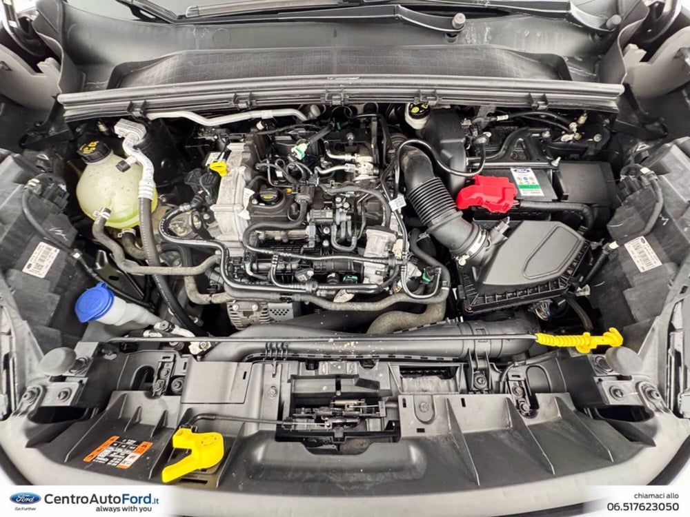 Ford Puma usata a Roma (12)