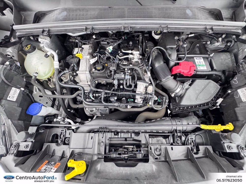 Ford Puma usata a Roma (12)