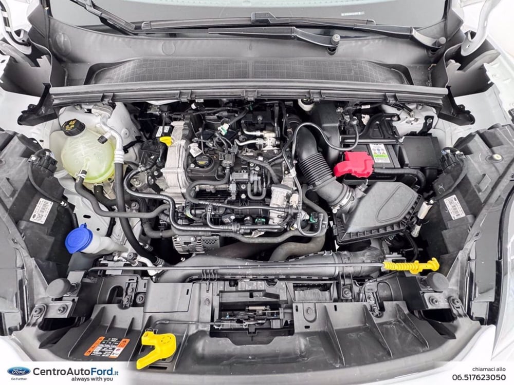 Ford Puma usata a Roma (12)