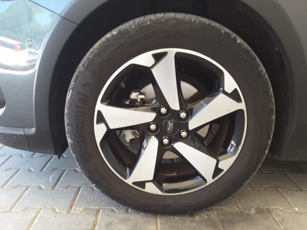Ford Focus usata a Firenze (4)