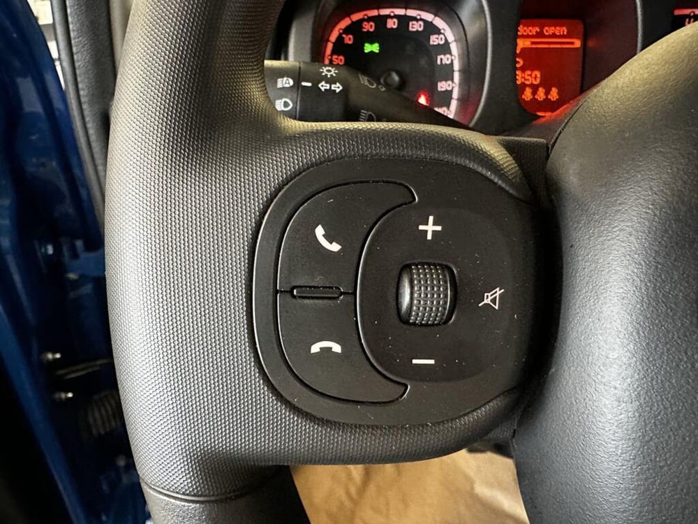 Fiat Panda Cross usata a Torino (10)