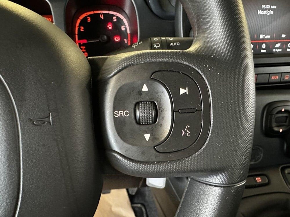 Fiat Panda Cross usata a Torino (11)