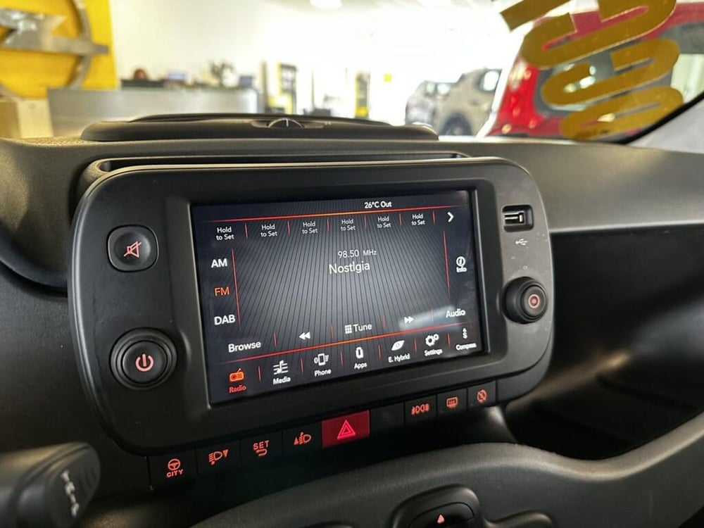Fiat Panda Cross usata a Torino (13)