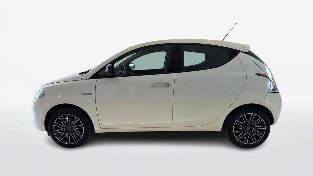 Lancia Ypsilon usata a Viterbo (4)