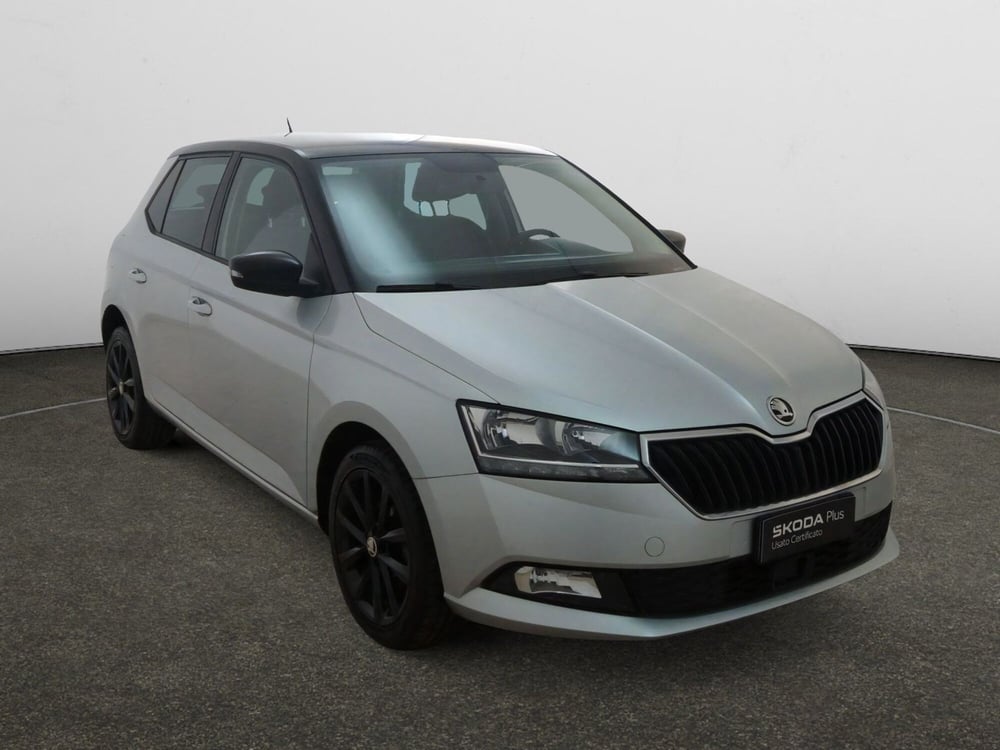 Skoda Fabia usata a Torino