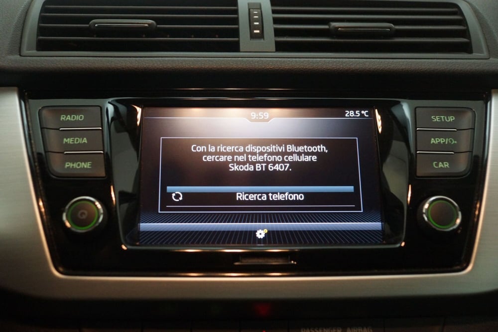 Skoda Fabia usata a Torino (17)
