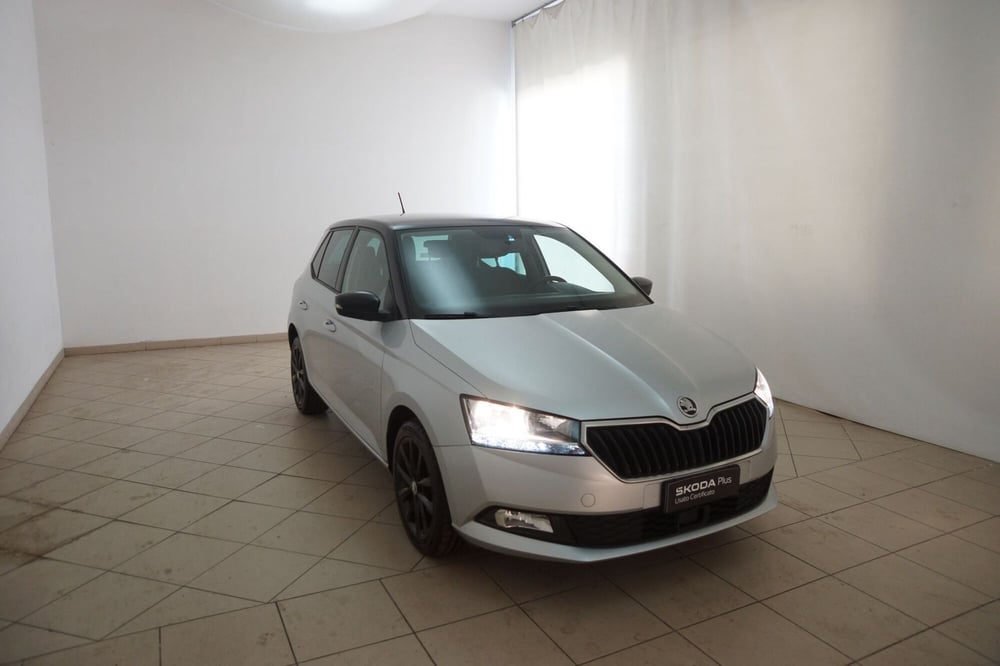 Skoda Fabia usata a Torino (19)