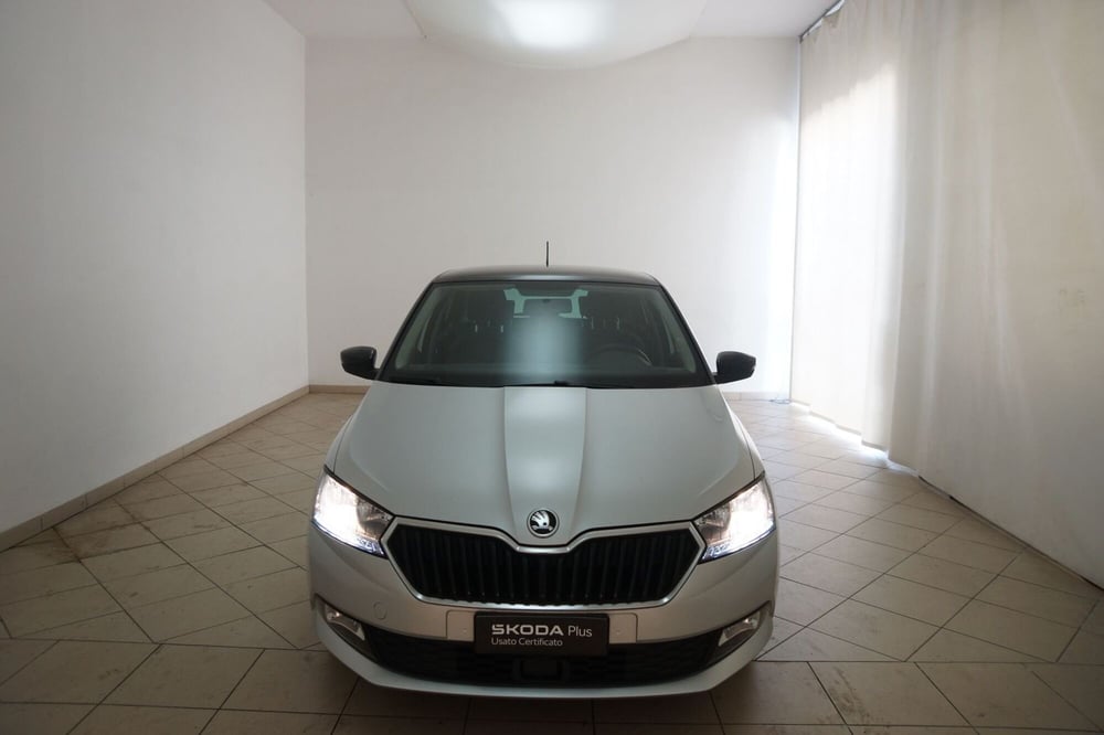 Skoda Fabia usata a Torino (20)