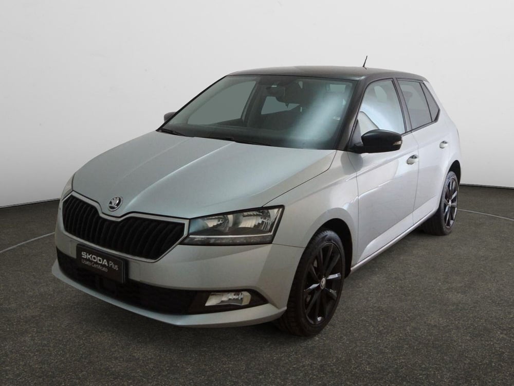 Skoda Fabia usata a Torino (3)