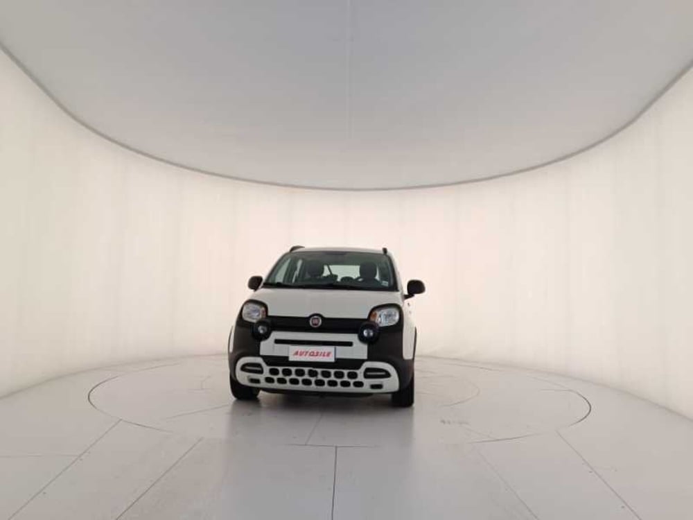 Fiat Panda Cross usata a Treviso (2)