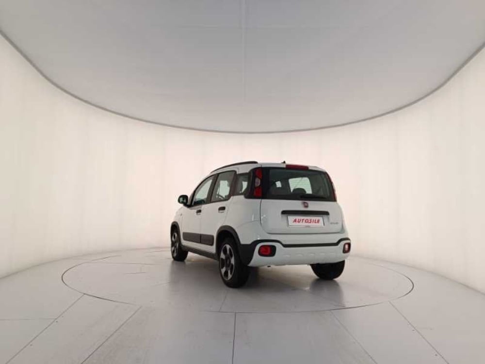 Fiat Panda Cross usata a Treviso (4)