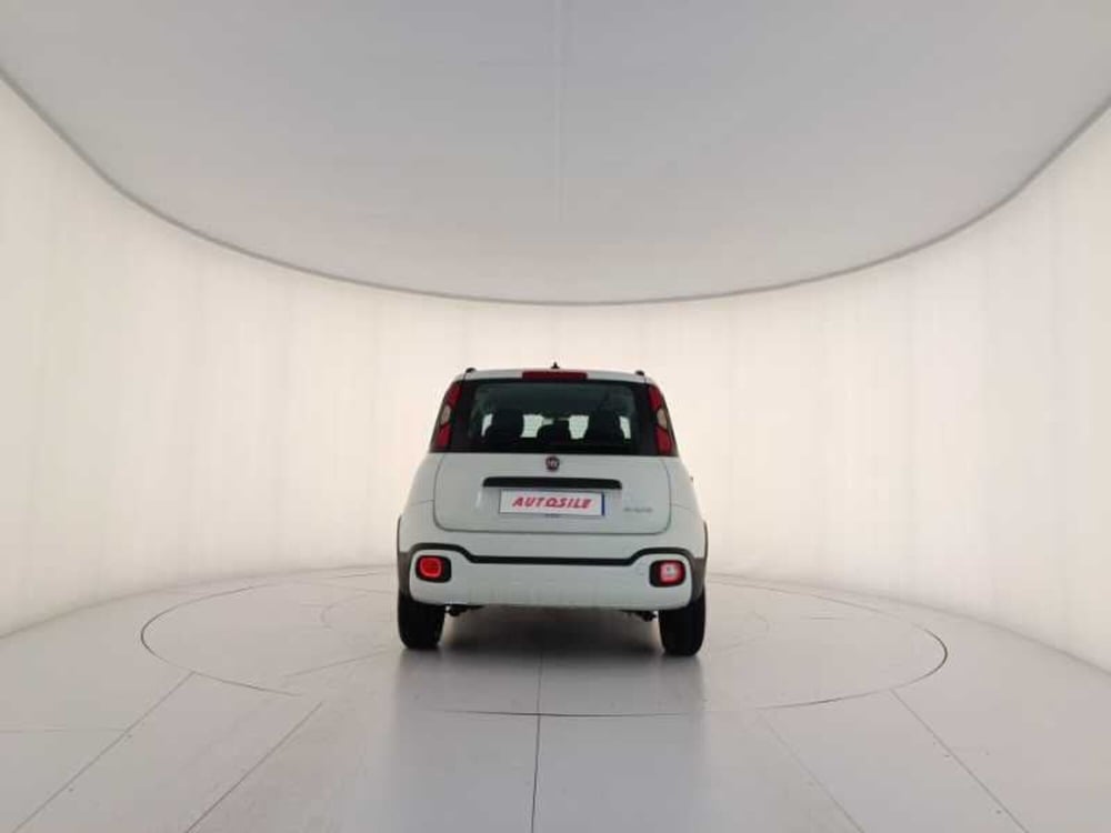 Fiat Panda Cross usata a Treviso (5)