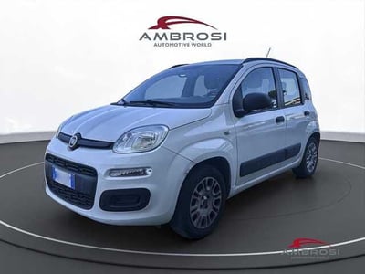 Fiat Panda 1.2 EasyPower Lounge del 2014 usata a Viterbo