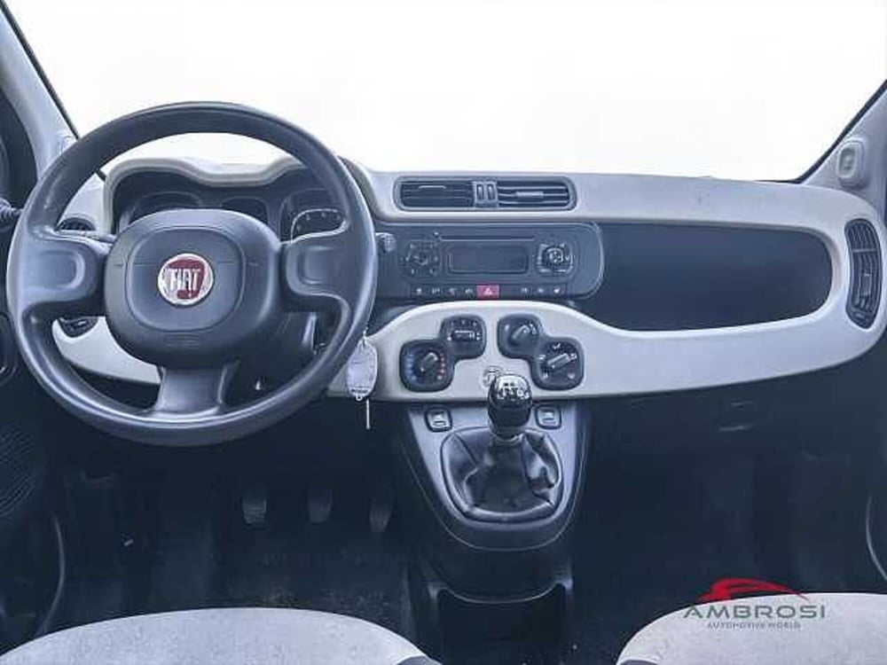 Fiat Panda usata a Viterbo (13)