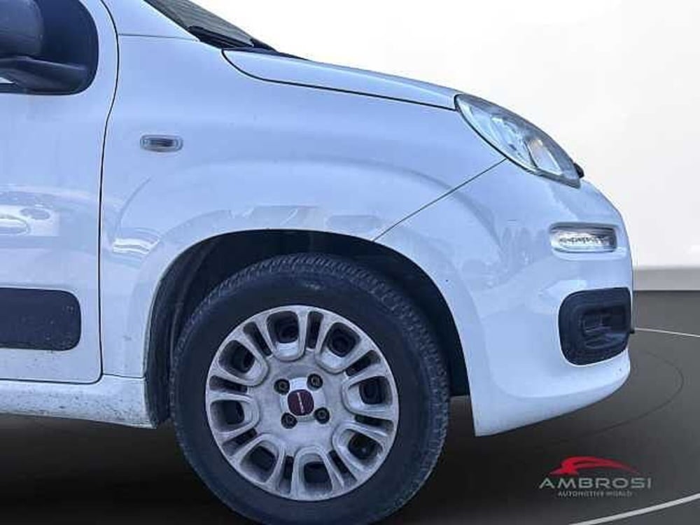 Fiat Panda usata a Viterbo (17)