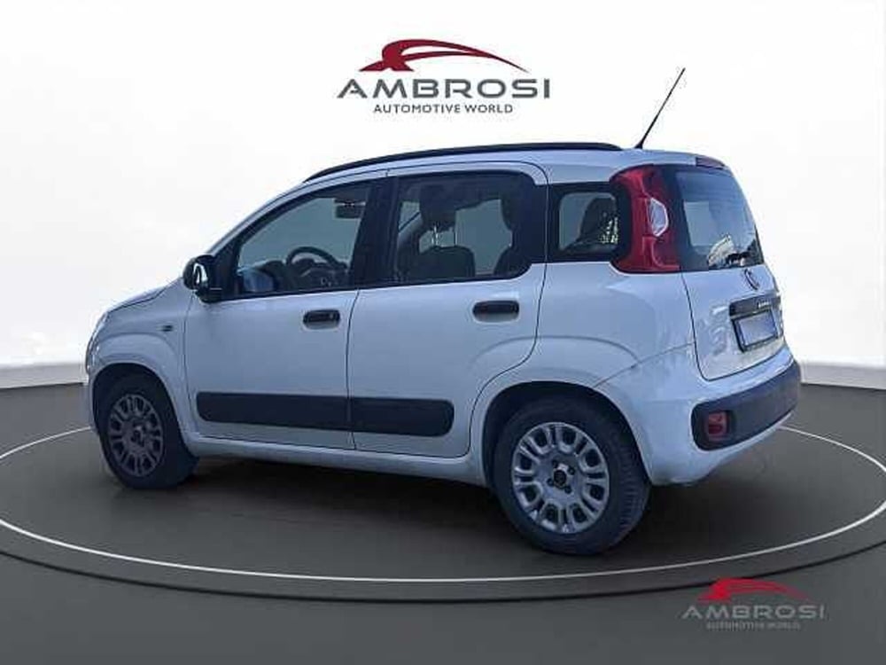 Fiat Panda usata a Viterbo (4)