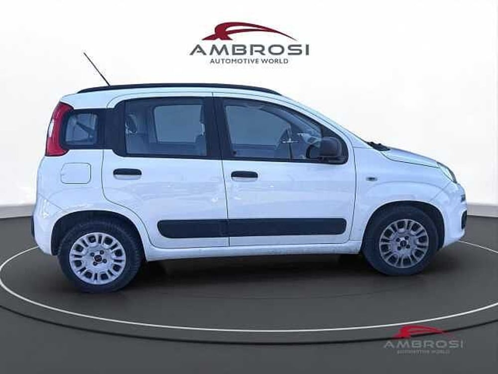 Fiat Panda usata a Viterbo (5)