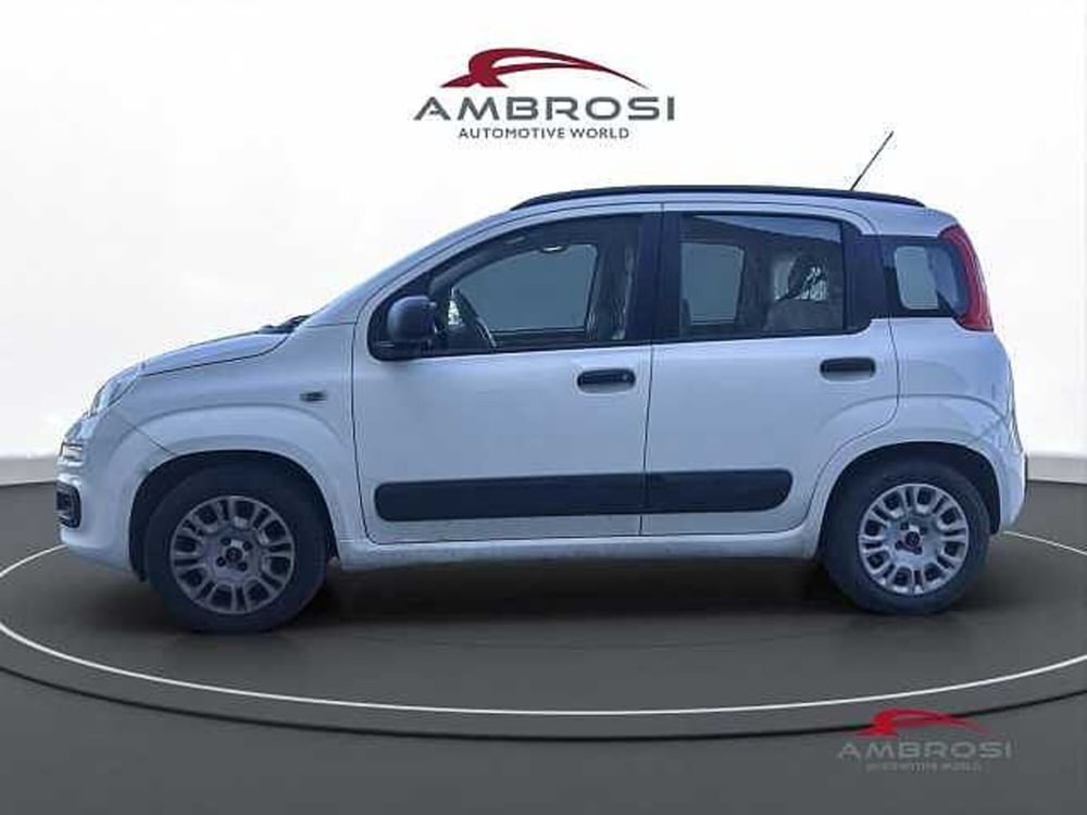 Fiat Panda usata a Viterbo (6)