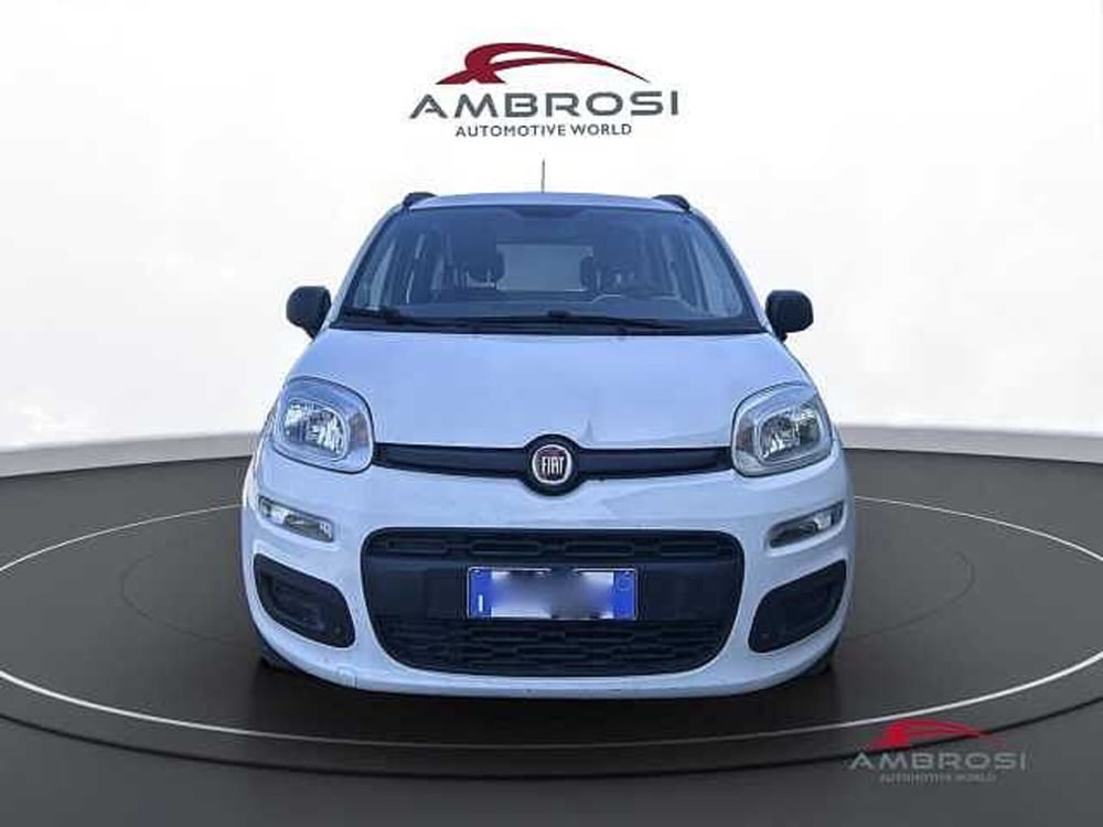 Fiat Panda usata a Viterbo (7)