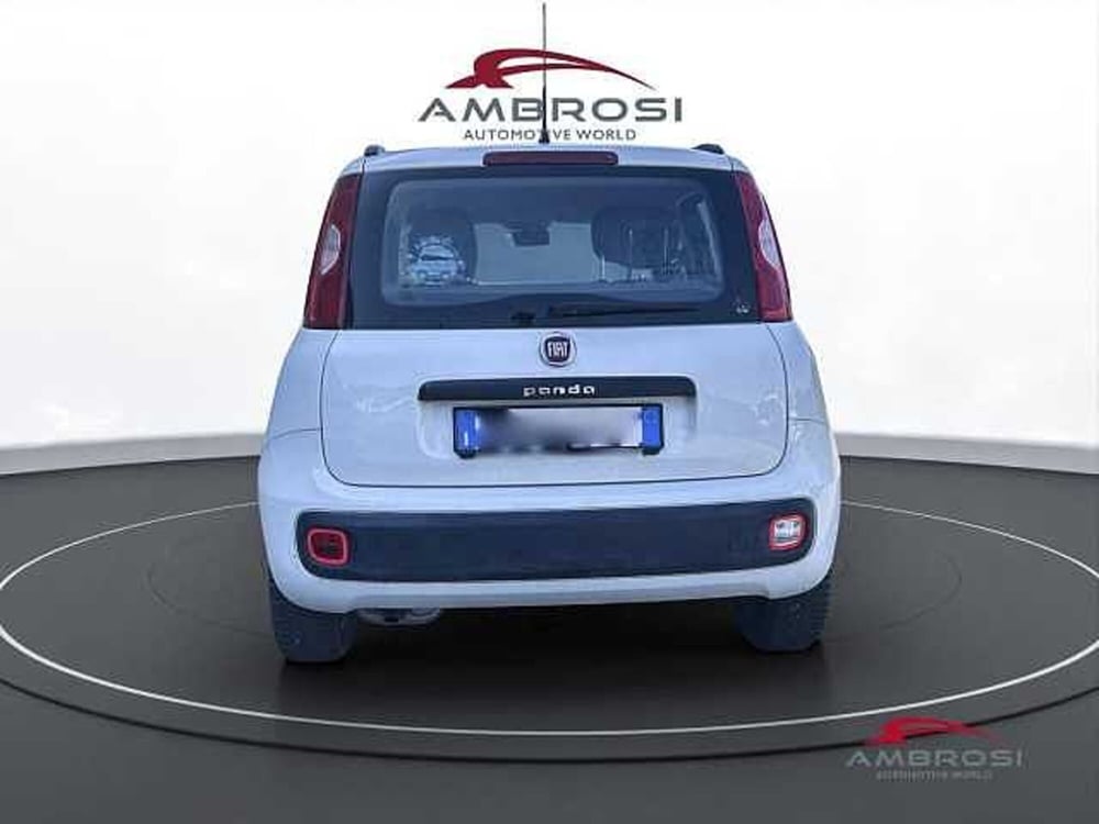 Fiat Panda usata a Viterbo (8)