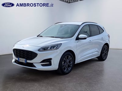 Ford Kuga 2.0 EcoBlue 120 CV aut. 2WD ST-Line X del 2023 usata a Milano