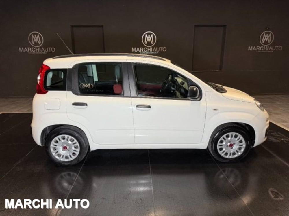 Fiat Panda usata a Perugia (4)