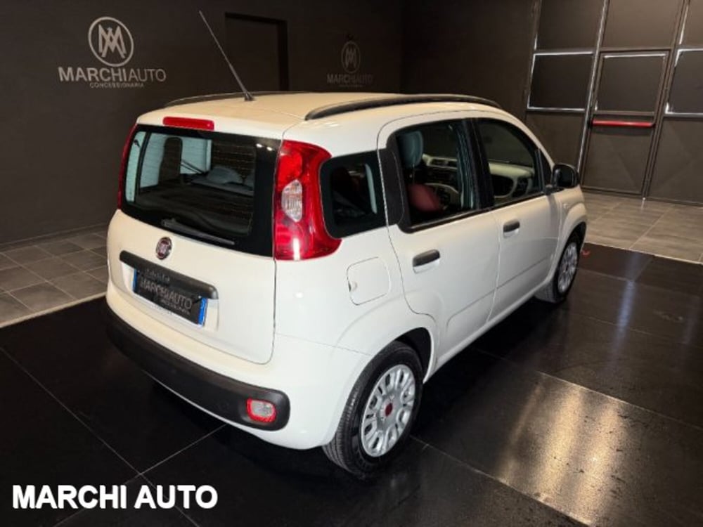 Fiat Panda usata a Perugia (5)
