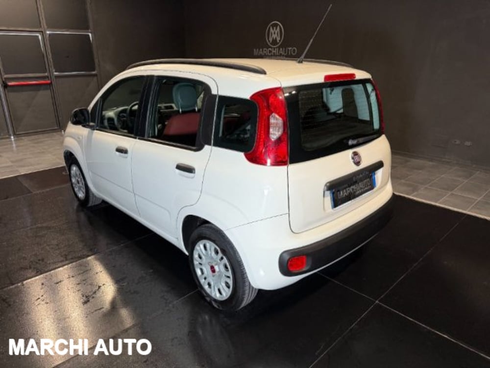 Fiat Panda usata a Perugia (7)