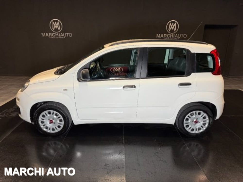 Fiat Panda usata a Perugia (8)
