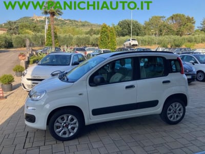 Fiat Panda 0.9 TwinAir Turbo Natural Power Easy del 2014 usata a Cortona