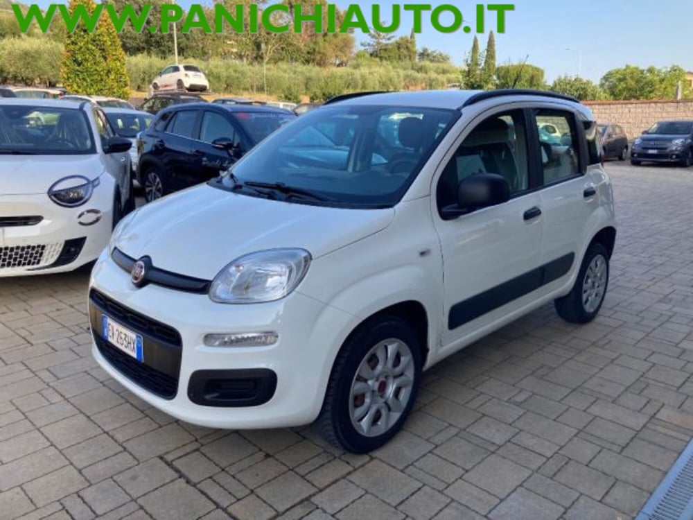 Fiat Panda usata a Arezzo (2)