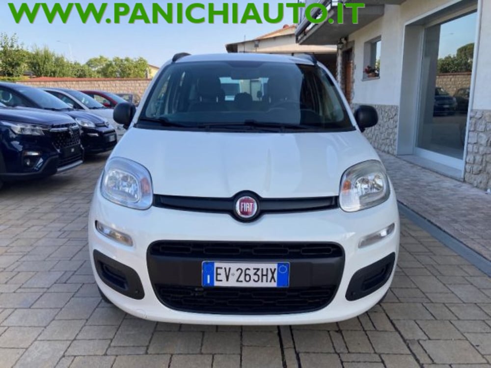 Fiat Panda usata a Arezzo (3)