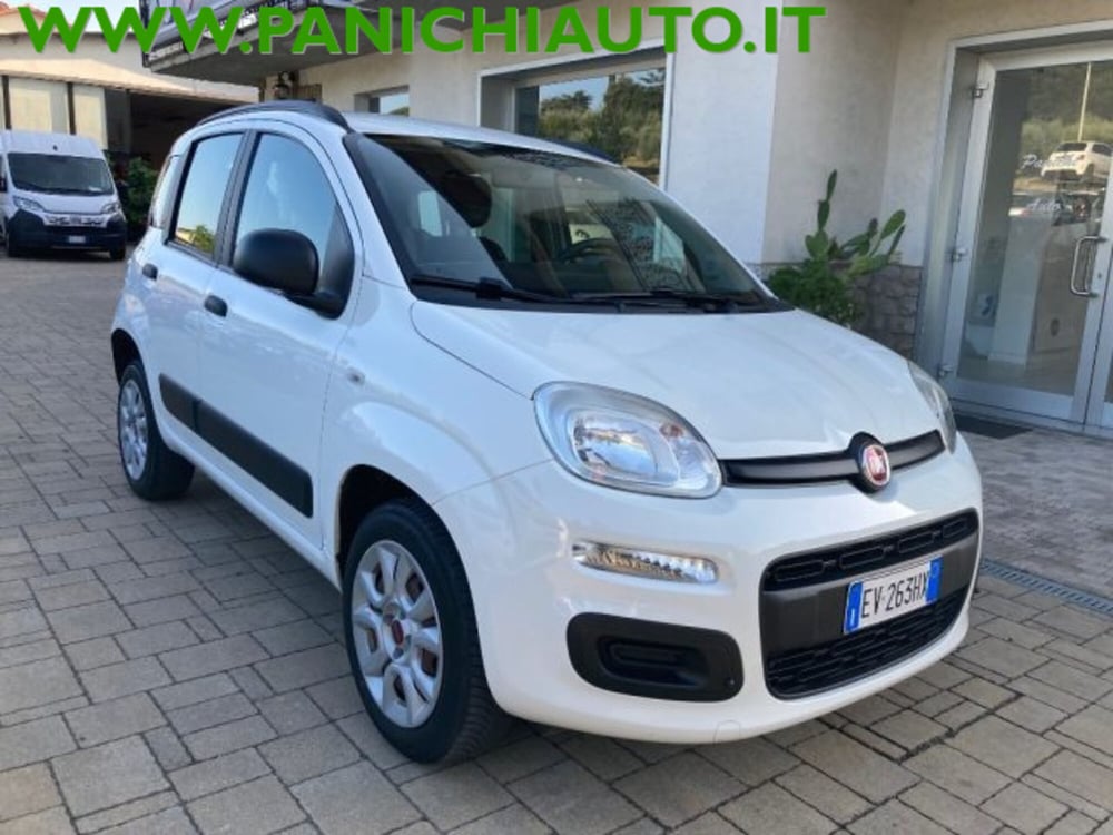 Fiat Panda usata a Arezzo (4)