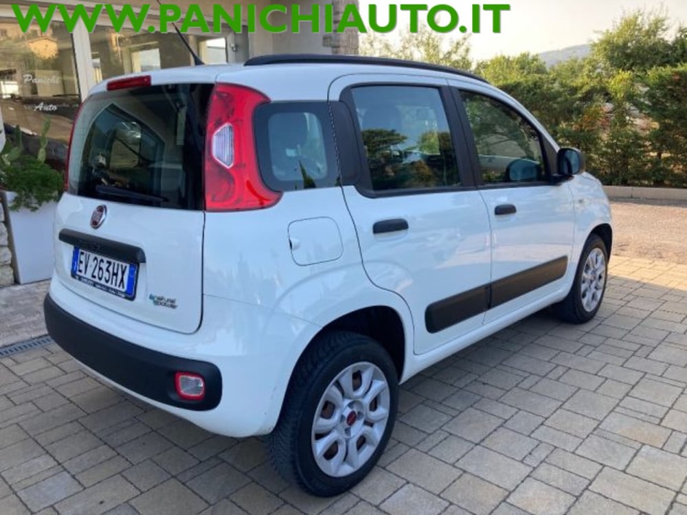Fiat Panda usata a Arezzo (5)